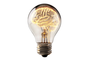 brainstorm idea symbol light bulb isolated on white background
