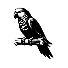 Parrot 25 Vector Illustration – Colorful Exotic Tropical Bird Artwork