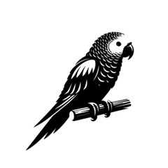 Parrot 26 Vector Illustration – Vibrant Exotic Rainforest Bird Design