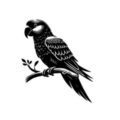 Parrot 22 Vector Illustration – Vibrant Exotic Tropical Bird Design