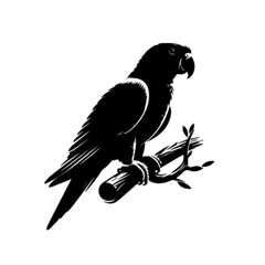 Parrot 23 Vector Illustration – Colorful Exotic Rainforest Bird Artwork