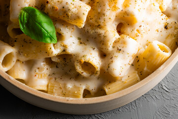 Rigatoni pasta with creamy sauce