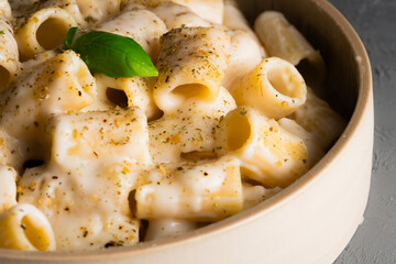 Rigatoni pasta with creamy sauce