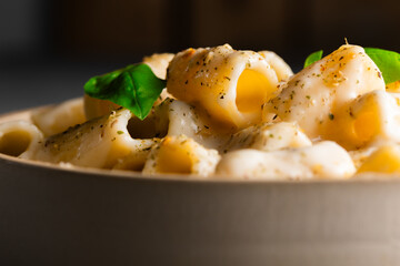 Rigatoni pasta with creamy sauce