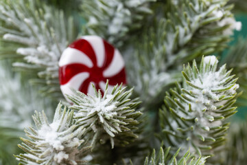 christmas candies on tree