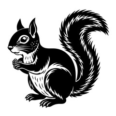 Black squirrel vector illustration of wildlife animal rodent with bushy tail for design needs and prints