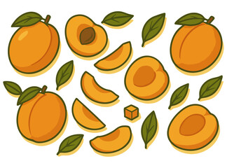 Apricots and leaves pattern design. Fresh apricot fruit vector illustration