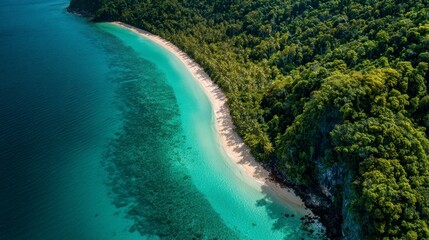 Tropical island beach aerial view