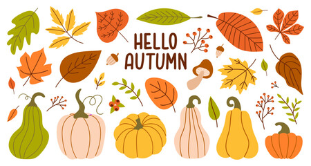 Autumn set colorful fallen leaves, acorns, pumpkins and branches isolated on white background. Hello Autumn text. Harvest time. Modern vector design