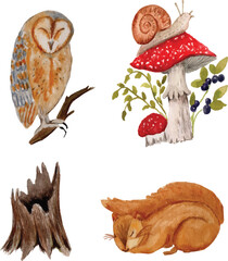 watercolor owl, mushroom, snail, berry, squirrel and wood, autumn season, 