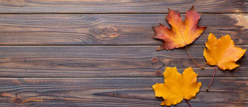 Autumn composition. Pattern made of dried leaves and other design accessories on table. Flat lay, top view