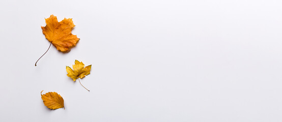 Autumn composition. Pattern made of dried leaves and other design accessories on table. Flat lay,...