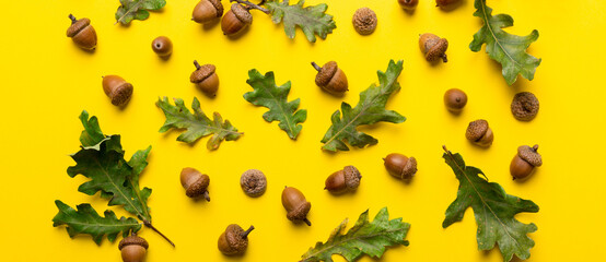 Branch with green oak tree leaves and acorns on colored background, close up top view