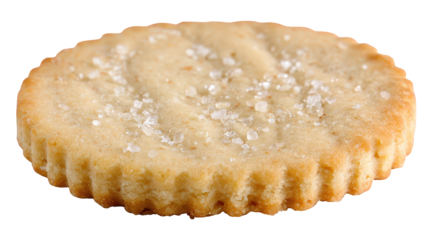 Round Buttery Cookie with Salt Crystals on Top