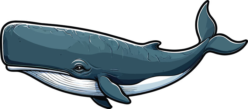 Cute cartoon a illustrator vector sperm whale