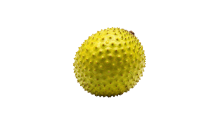 Yellow soursop displays its spiky surface, placed against a completely isolated background.