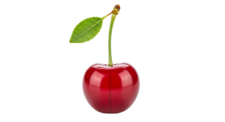 A vibrant red cherry is positioned in the center with a long green stem and small leaf against a .