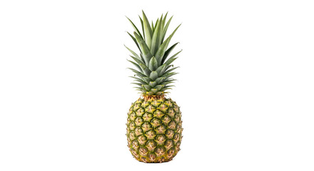 Fototapeta premium A whole pineapple stands upright featuring green spiky leaves on top and textured skin on a background.