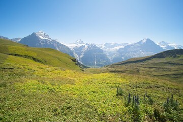 Landscape in Switzerland near Grindelwald in the Bernese Oberland. 