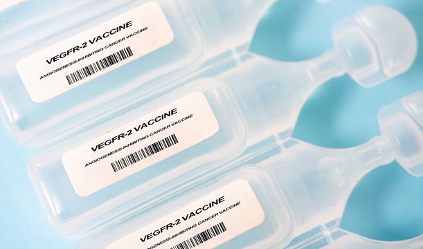 VEGFR-2 Vaccine