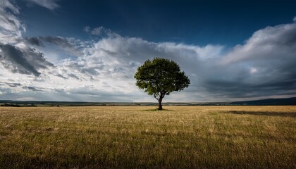Fototapeta premium a solitary tree stands prominently in the middle of a vast open field under a cloudy sky