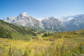 Fototapeta premium Landscape in Switzerland near Grindelwald in the Bernese Oberland. 