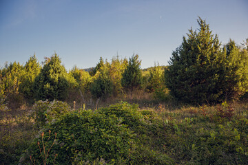autumn landscape in the mountains
