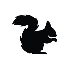 black and white squirrel