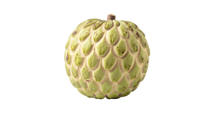 Obraz premium Custard apple sits centered showing the fruit's unique textured surface against a solid background.