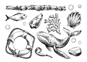 Hand drawn line art illustration of whale, fish, lifebuoy, seashells and bubbles. Black ink marine collection with seaweed and branch, perfect for clipart, nautical fantasy and creative artworks. © NATASHA-CHU
