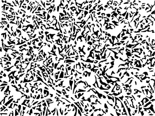 seamless leopard pattern