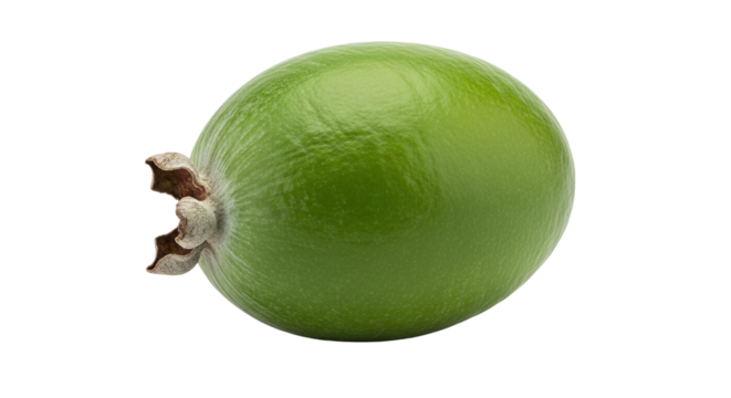 Feijoa fruit displays its smooth, shiny, green surface, alongside its textured brown stem on a background. - Powered by Adobe