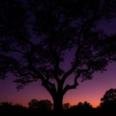 Twilight Silhouette: A Tree's Embrace