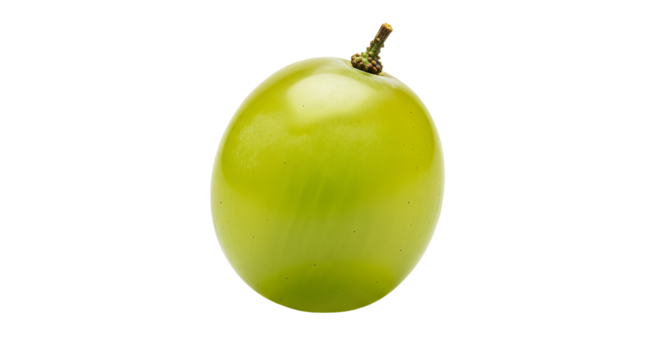 Green grape glistens against a stark background, revealing a small brown stem at the top.