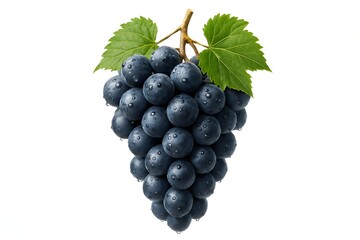 Fototapeta premium Fresh Blue Grapes with Leaves Isolated on White Background