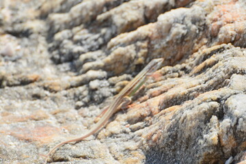 pedra furada - jeriquaquara