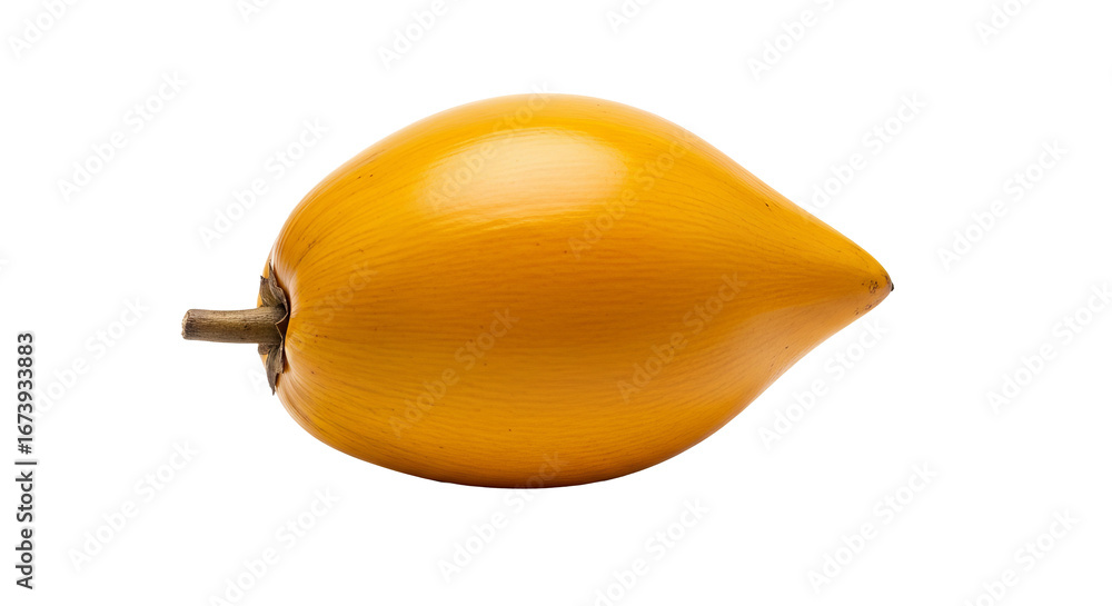 Poster lucuma fruit is displayed against a isolated background, showing its smooth texture and unique shape