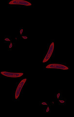 Vivid and Striking Emotion Timeless Abstract Art.