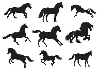  A set of horse in silhouette image.