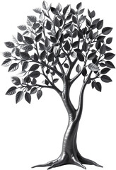 Obraz premium A detailed black and white metal tree sculpture with intricate details, showcasing a natural, artistic design. 