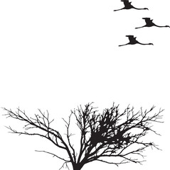  flying Flamingo tree silhouette white background.