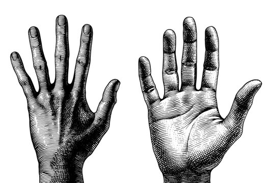 Two hands in detailed woodcut with open palms and back side