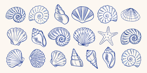 Assortment of Blue Hand Drawn Seashells and Starfish on a Light Background marine ocean