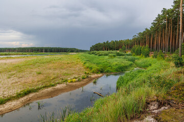 Bug River in Poland near Szumin village in Gmina Lochow, Masovian Voivodeship of Poland