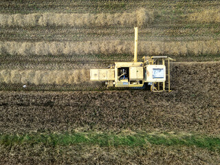 Yellow combine harvester during harvest season in Mazowsze region, Poland