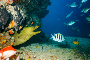 at the dragon's cave - An der Höhle des Drachen