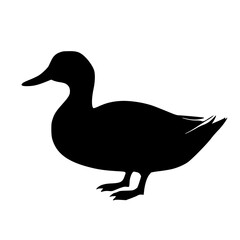 Obraz premium Solid black duck head side silhouette logo, vector illustration design sign, white background icon character symbol.