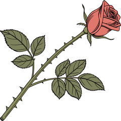 Vector art of a single pink rose with thorns, depicted in a detailed vector illustration showcasing its petals, stem, and leaves