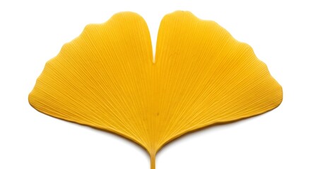 Naklejka premium Radiant Golden Ginkgo Leaf Exhibiting Delicate Veins on Pure White Canvas
