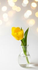 Obraz premium A single yellow tulip in a clear glass vase, with a beautiful display of golden, out-of-focus bokeh lights creating a festive and elegant mood.